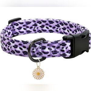 Purple Leopard Print Dog Collar with Daisy Charm, Size M, NEW!